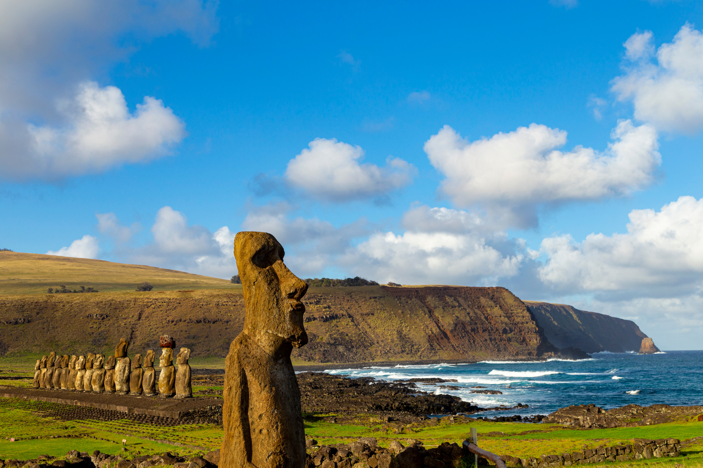 6 rapa island.webp